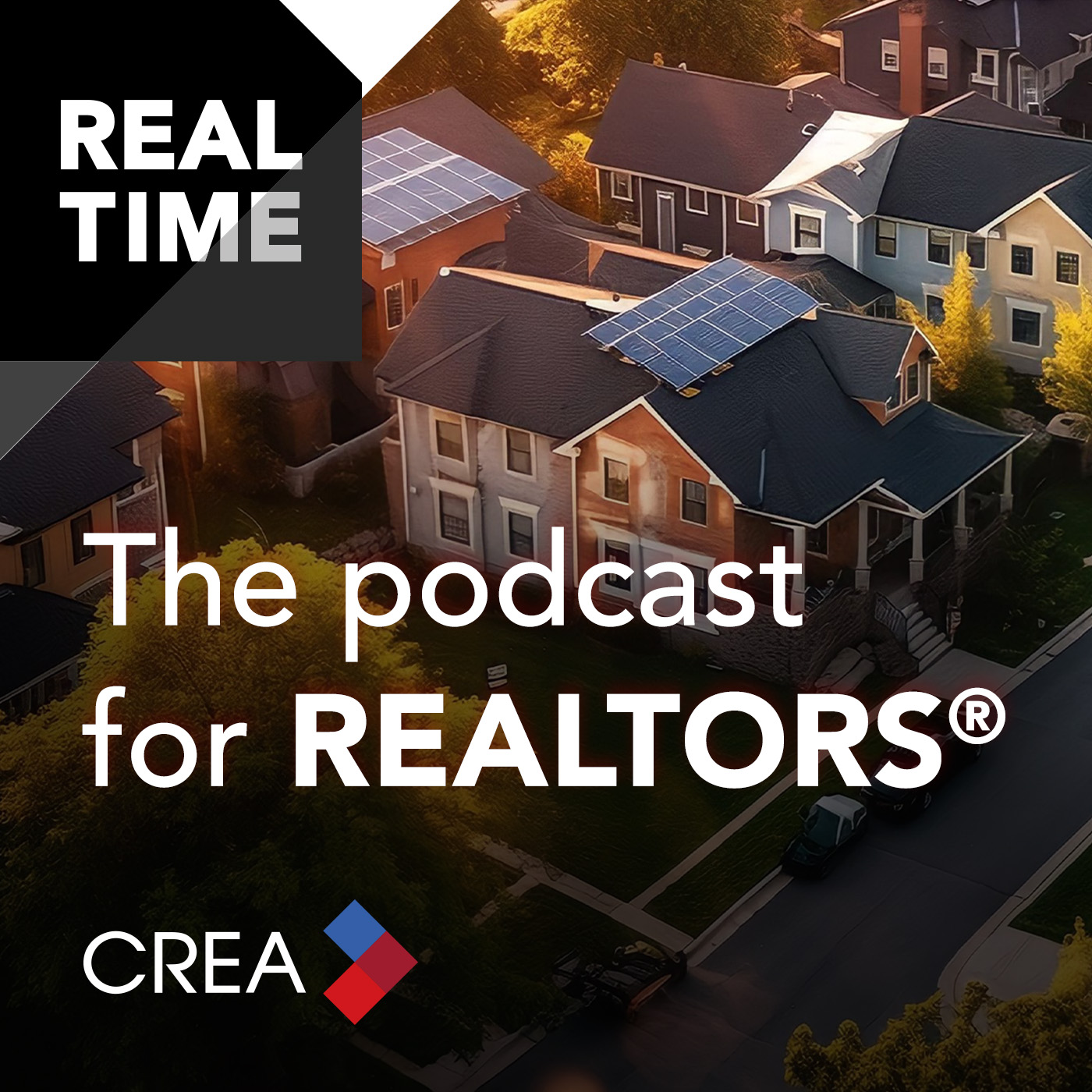 Podcast Image