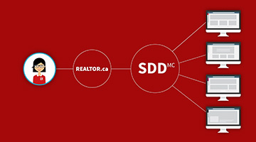SDD Screen